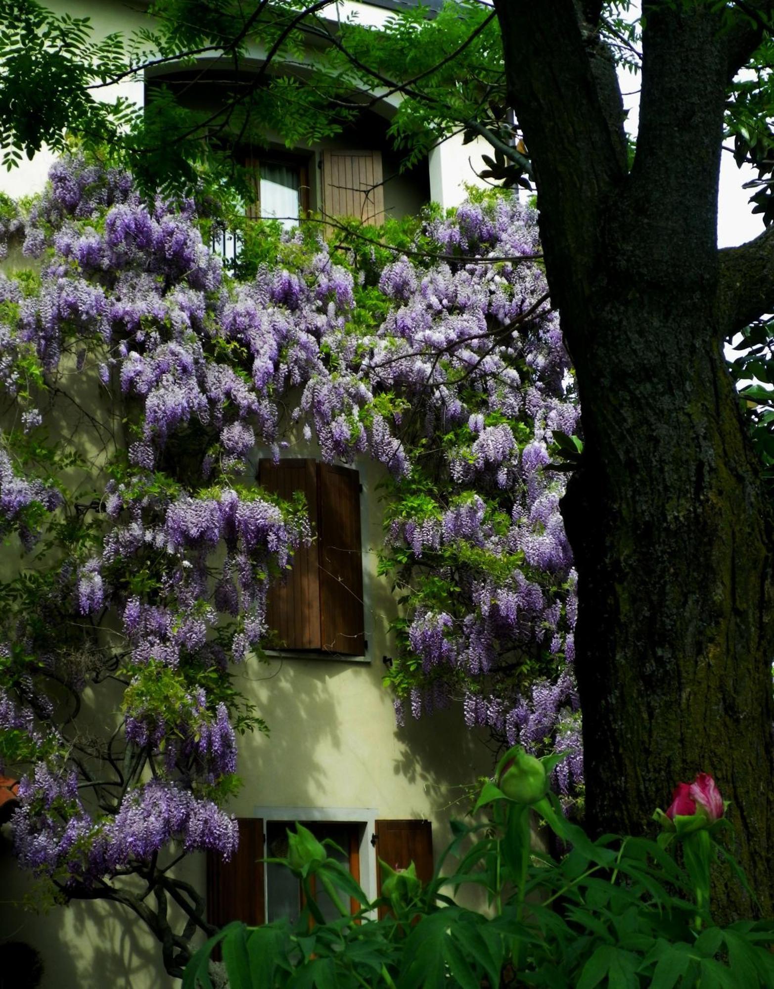 Le Querce Hotel Salsomaggiore Terme Eksteriør bilde