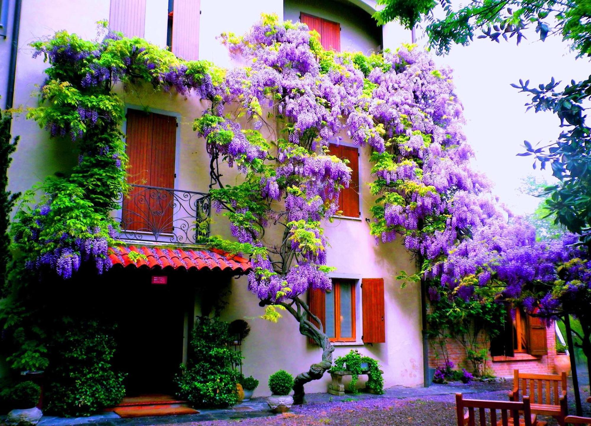 Le Querce Hotel Salsomaggiore Terme Eksteriør bilde